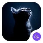 the quiet cat theme android application logo